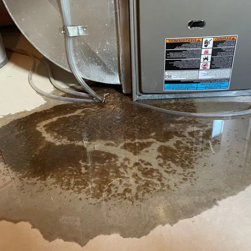 Pipe Burst and Leak Restoration in Ponderosa Pine, NM