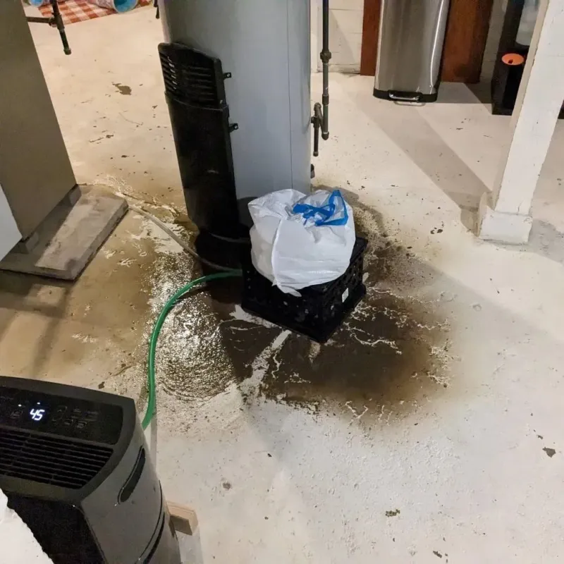 Sewage Backup Cleanup Service in Ponderosa Pine, NM